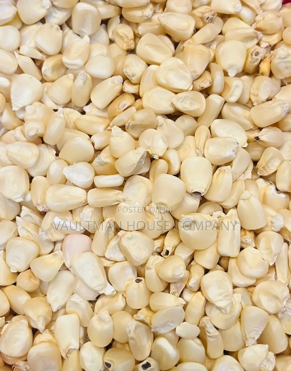 White Maize