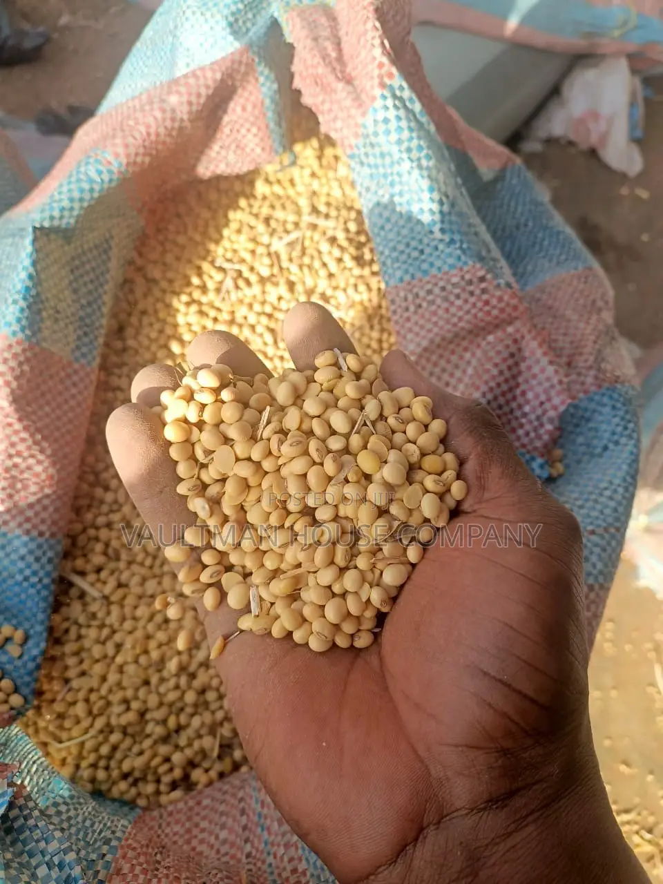 Soaybeans Non GMO