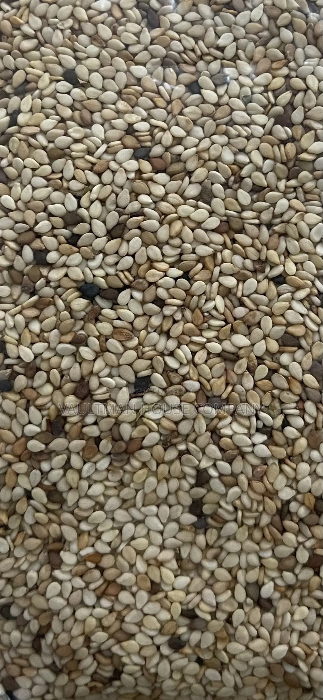 Sesame Seeds