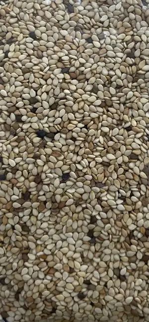Sesame Seeds