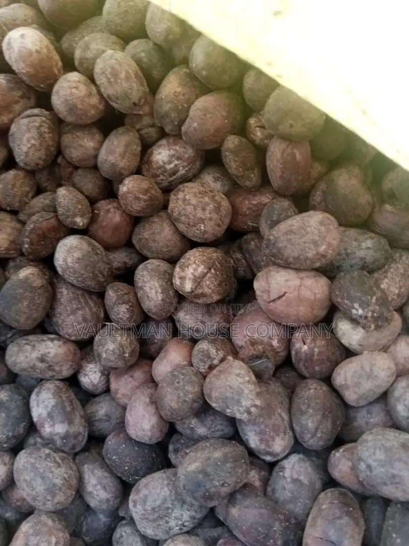 Dried Sheanuts