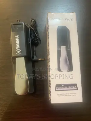 Sustain Pedal