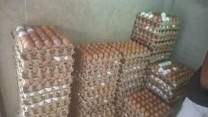 Eggs for Sale, I Do Door Step Delivery Around Kumasi