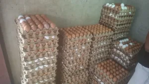 Eggs for Sale, I Do Door Step Delivery Around Kumasi