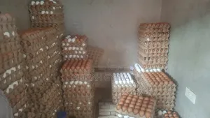 Eggs for Sale, I Do Door Step Delivery Around Kumasi