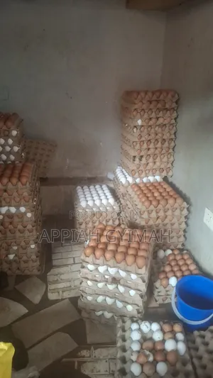 Eggs for Sale, I Do Door Step Delivery Around Kumasi