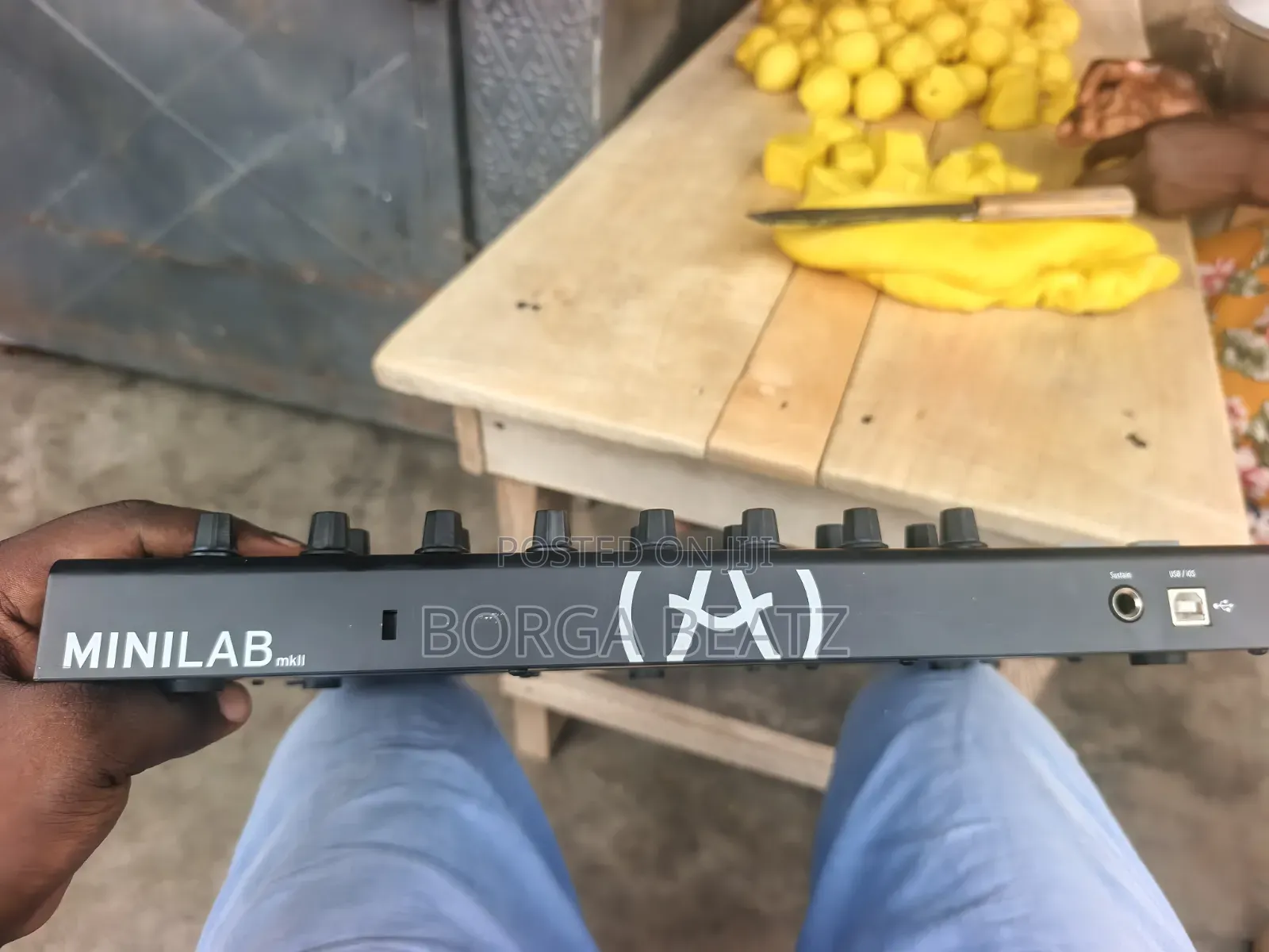 Arturia Minilab 25 Midi Keyboard