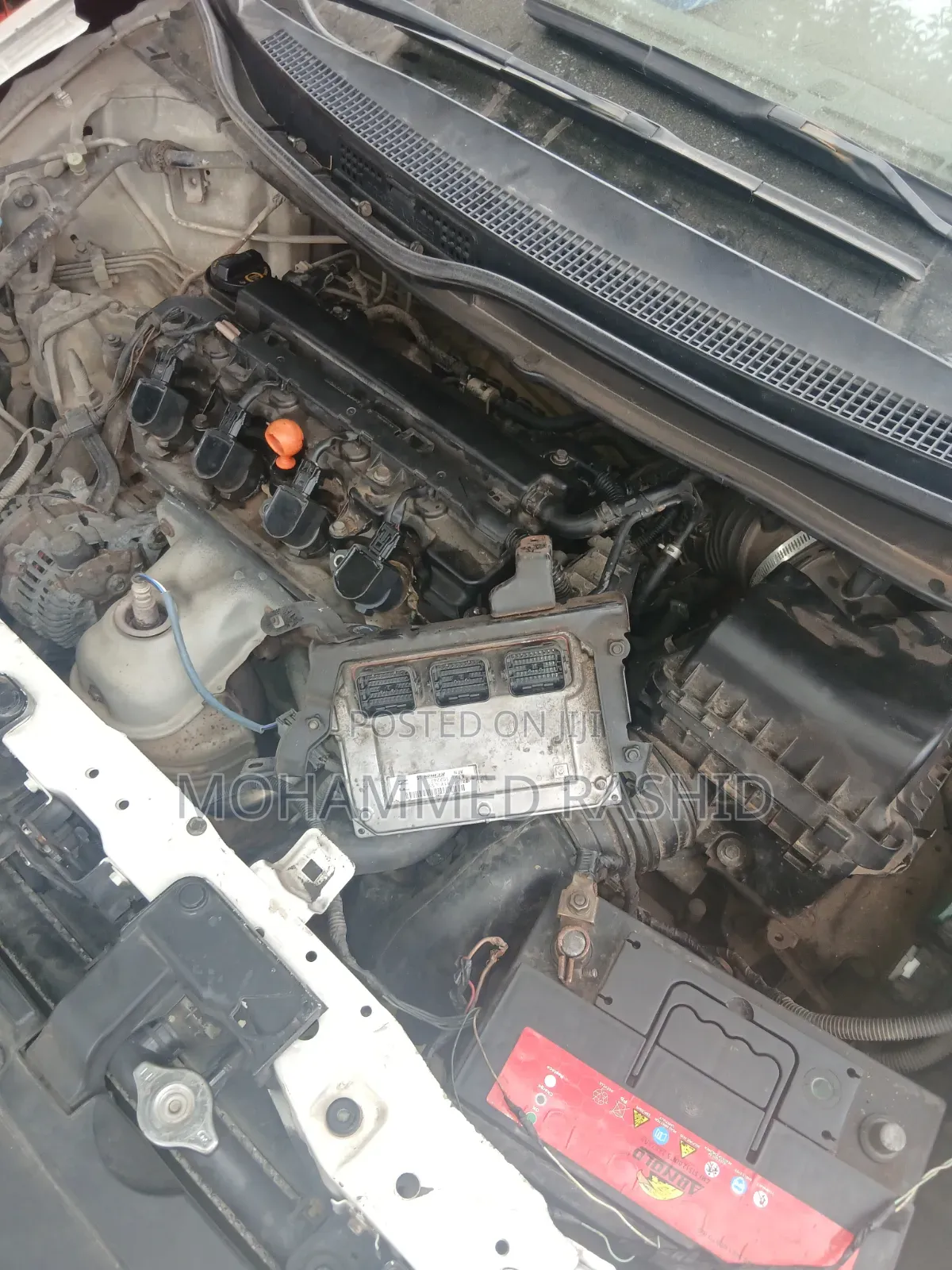 Auto Eletrical Specialist
