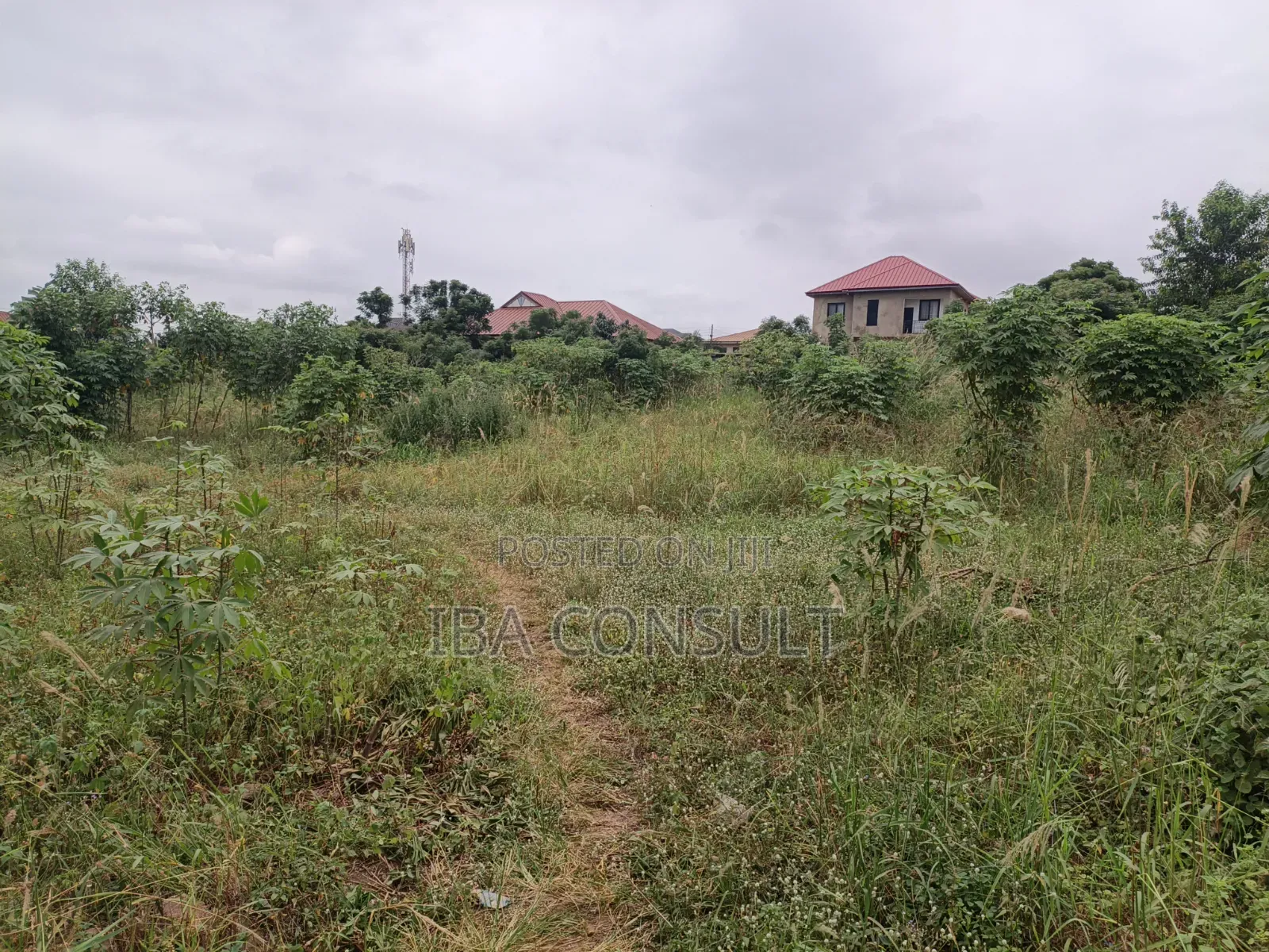 Titled Land for Sale at Amrahia Behind Hisense
