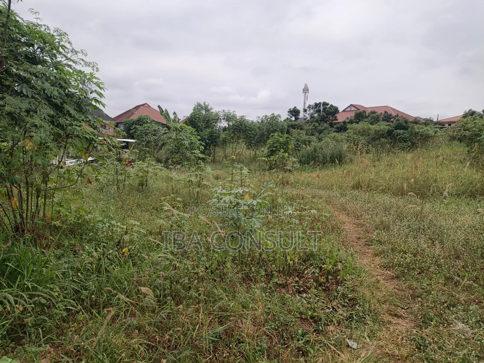 Titled Land for Sale at Amrahia Behind Hisense