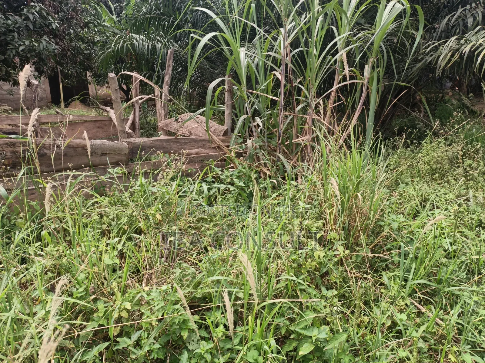 Titled Land for Sale at Amrahia Behind Hisense