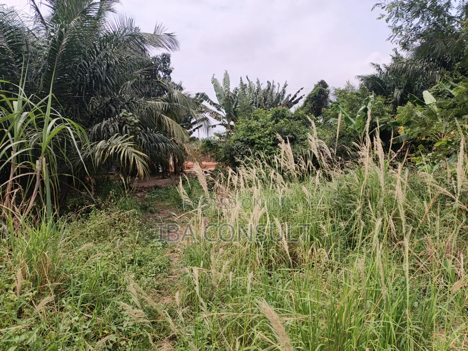 Titled Land for Sale at Amrahia Behind Hisense