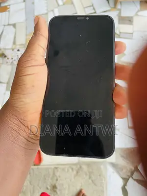 Apple iPhone 12 Pro Max 256 GB Blue