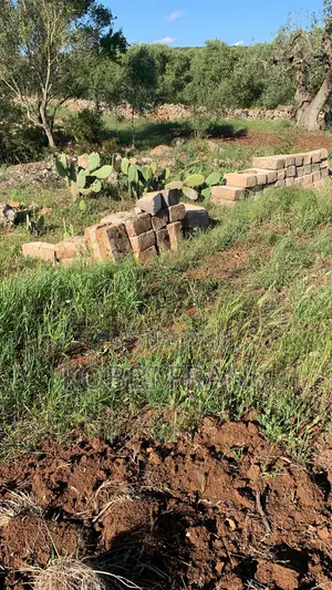 Gbetsele Land for Sale