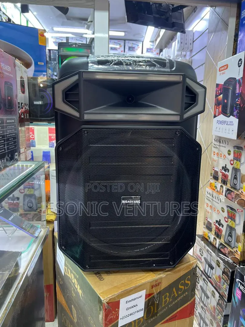 WGY 1802 Rechargeable Speak 18 Inch
