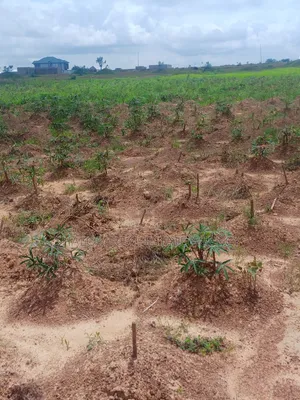 A Gravel Plot at Changnayili for Sale