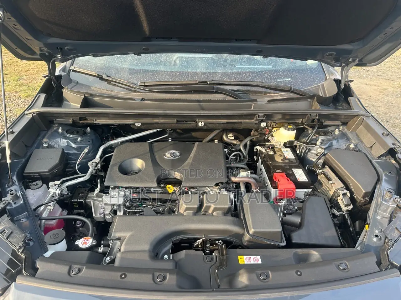 New Toyota RAV4 2026 Blue