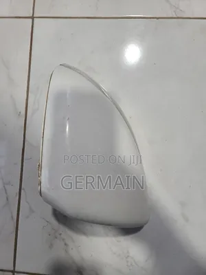 2016 to 2020 C300 Mirror Cover