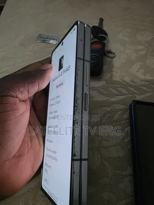 Samsung Galaxy Z Fold 5 256 GB Silver