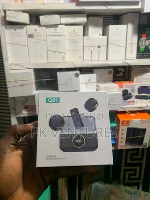 Q81 Microphone