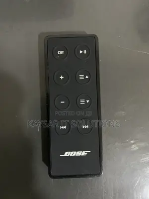 Bose Soundock Series III