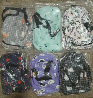 3 in 1 Backpack