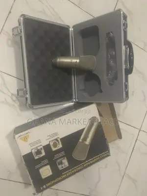 Behringer B-1 Professional Condenser Microphone