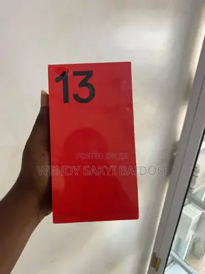 New OnePlus 13 1 TB