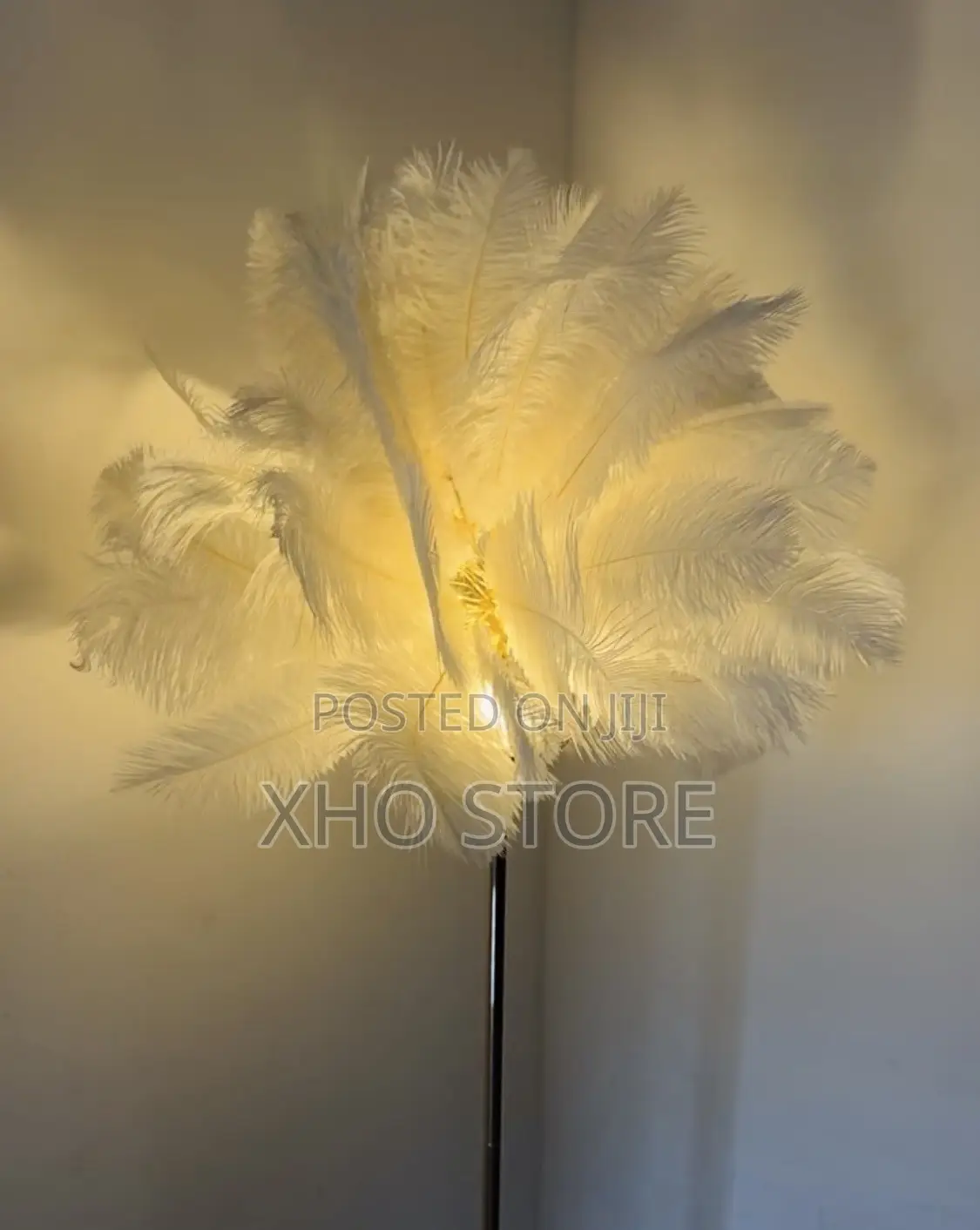 Ostrich Feather (Metal) Floor Lamp—Romantic Accent Light Rechargeable