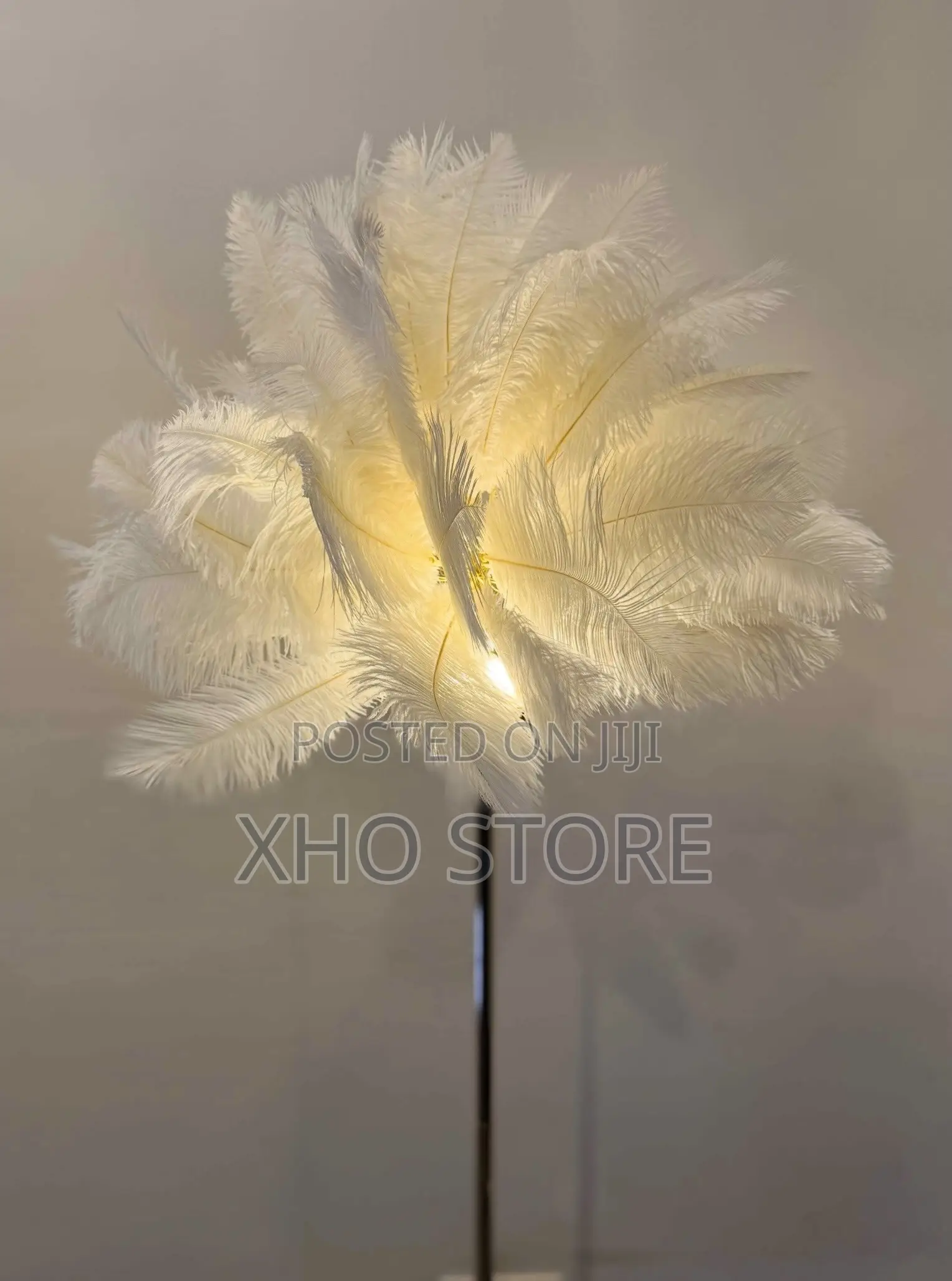Ostrich Feather (Metal) Floor Lamp—Romantic Accent Light Rechargeable