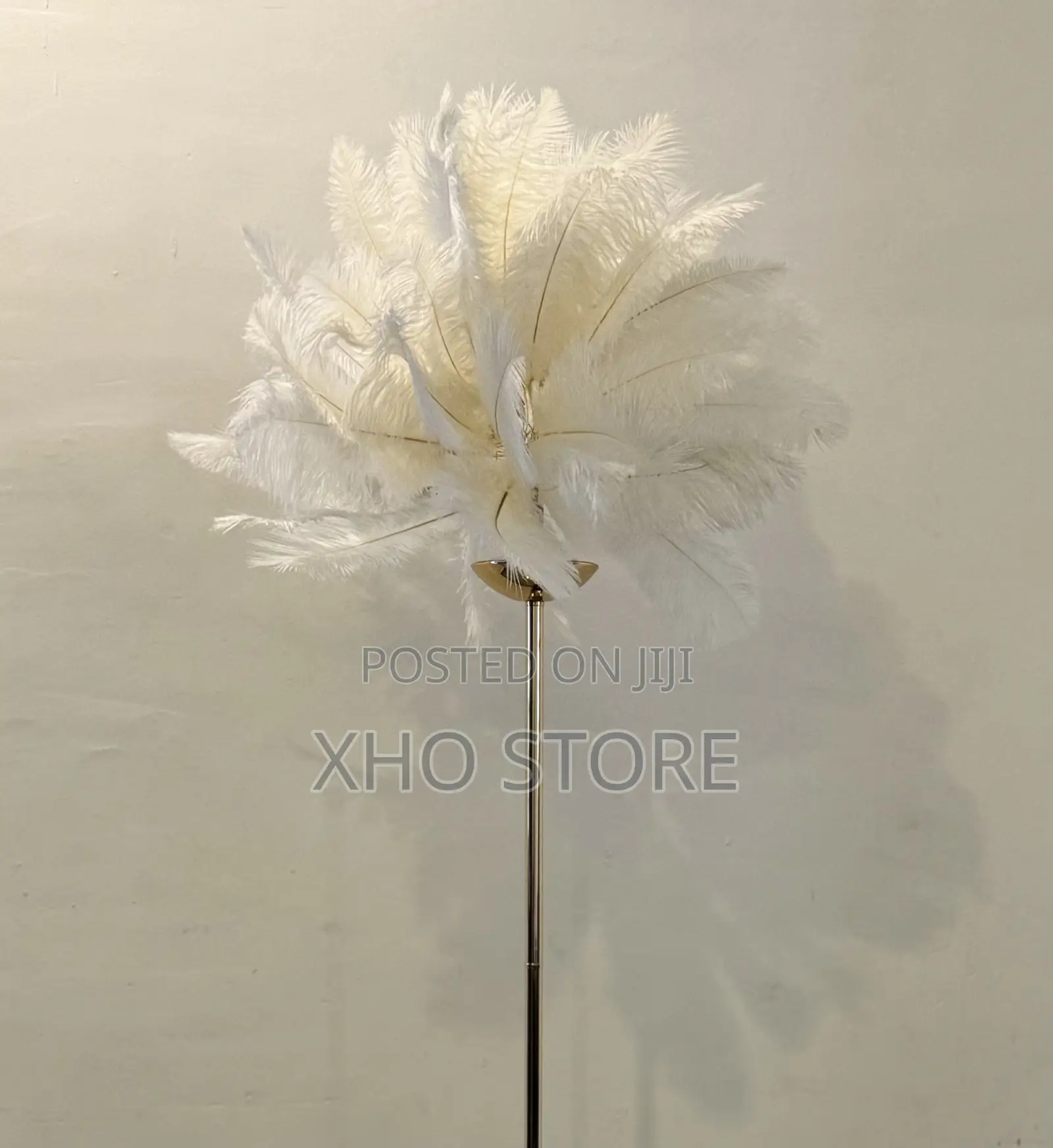 Ostrich Feather (Metal) Floor Lamp—Romantic Accent Light Rechargeable