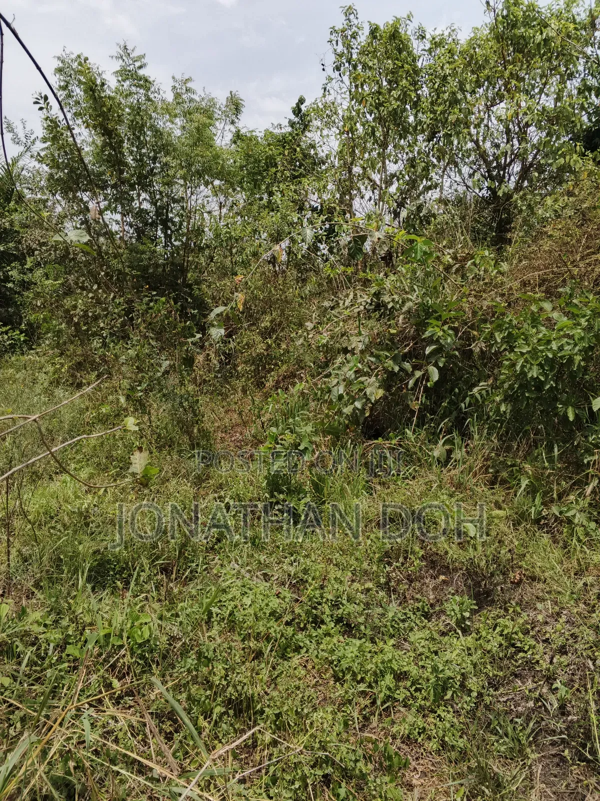 Farm Land for Sale at Juapong Area