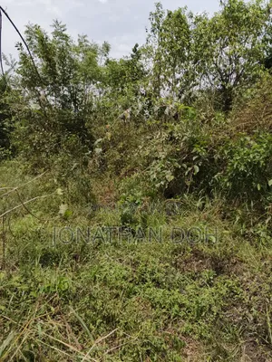 Farm Land for Sale at Juapong Area