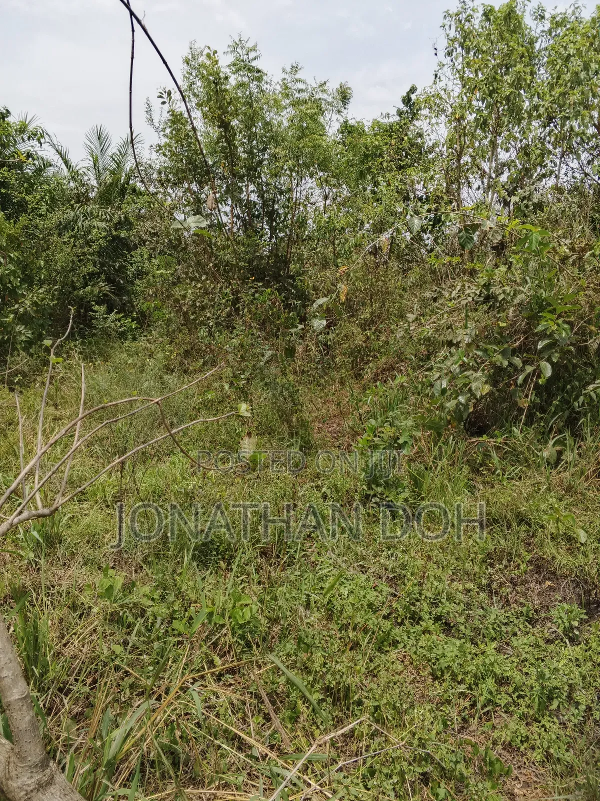 Farm Land for Sale at Juapong Area