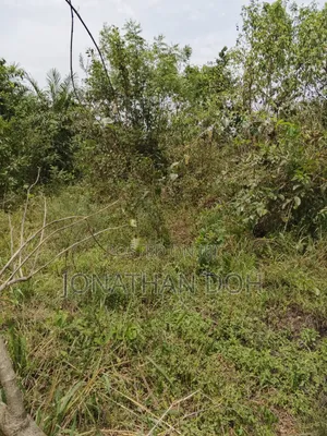 Farm Land for Sale at Juapong Area