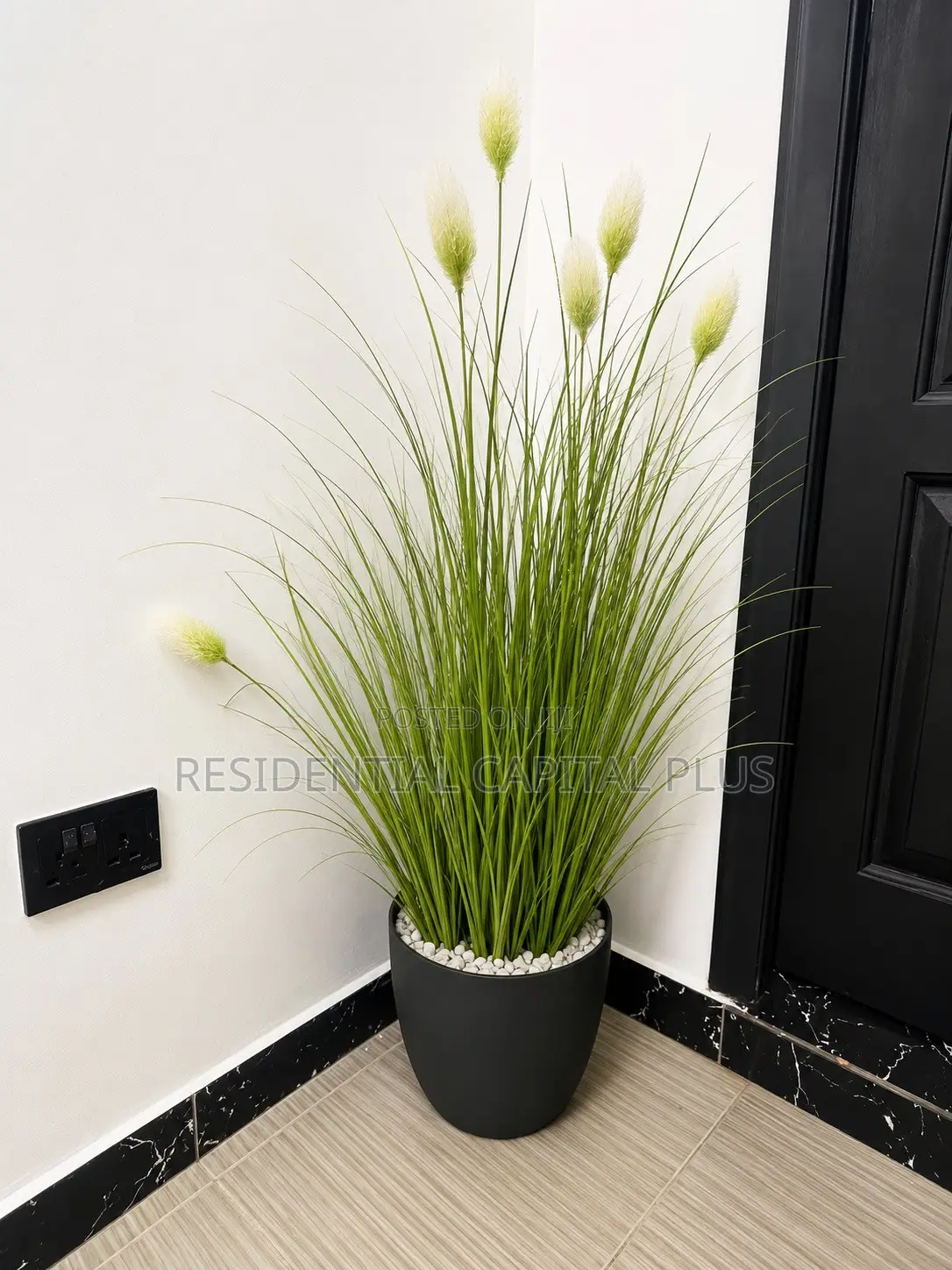Furnished 1bdrm Apartment in East Legon Obojo for rent