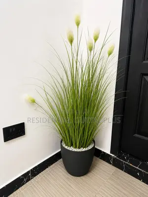 Furnished 1bdrm Apartment in East Legon Obojo for rent