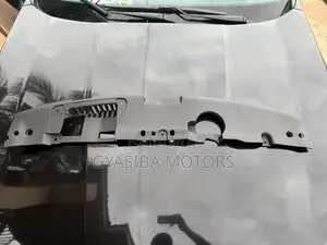 Honda Accord 2018 - 2022 Radiator Panel Cover