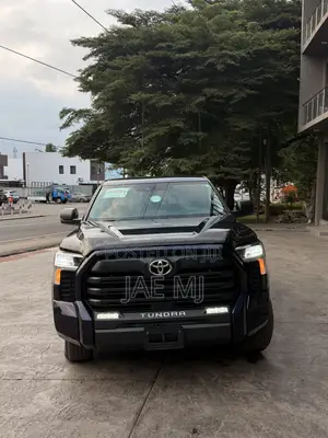 New Toyota Tundra 2024 Blue