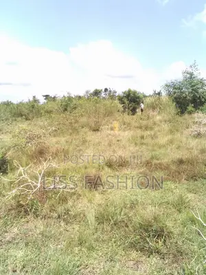 1 Plot of Land at Doyumo for Sale