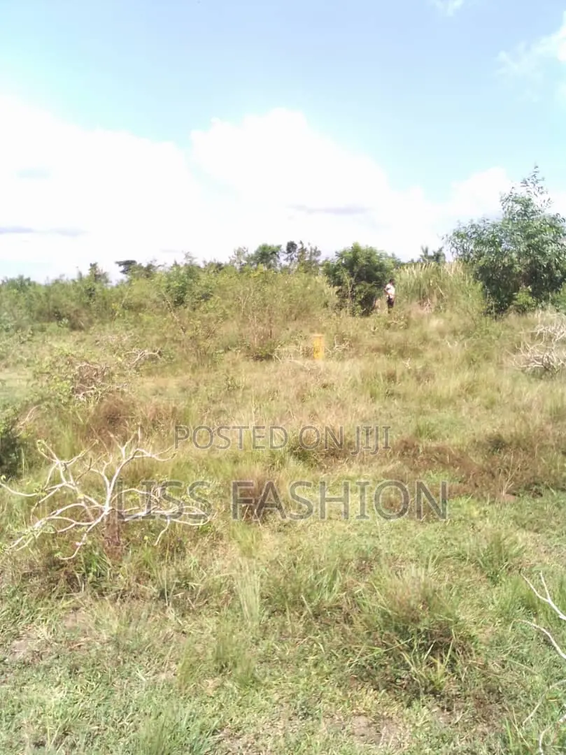 1 Plot of Land at Doyumo for Sale