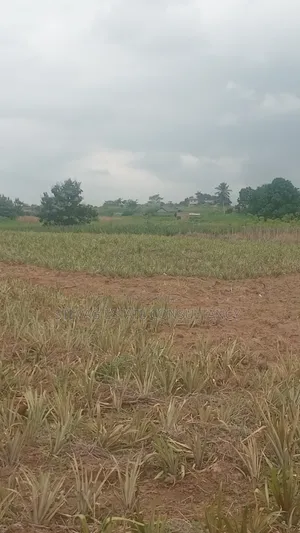 Estate Company Land for Sale at Amasaman Obom ASHIFLA