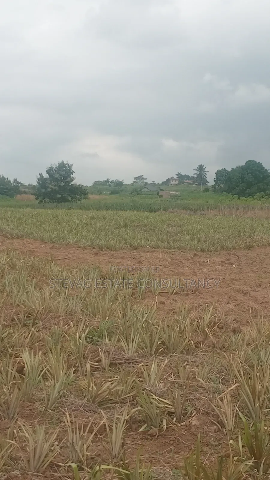 Estate Company Land for Sale at Amasaman Obom ASHIFLA
