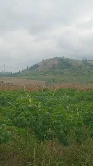 Estate Company Land for Sale at Amasaman Obom ASHIFLA
