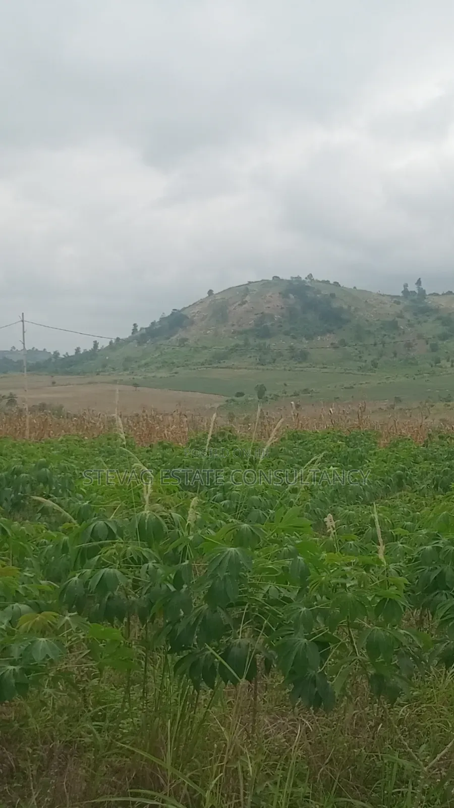 Estate Company Land for Sale at Amasaman Obom ASHIFLA