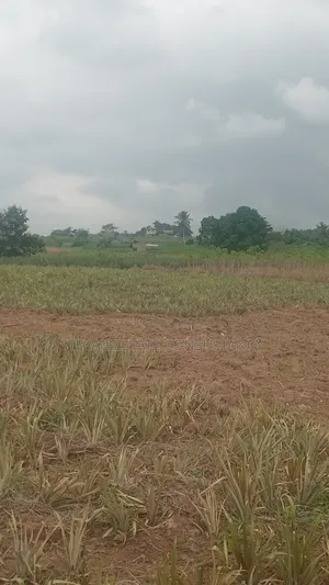 Estate Company Land for Sale at Amasaman Obom ASHIFLA