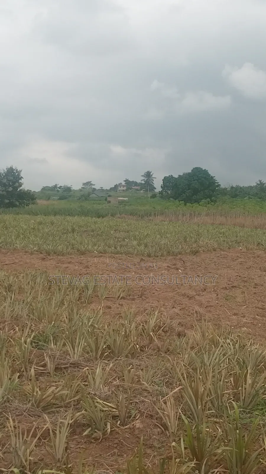 Estate Company Land for Sale at Amasaman Obom ASHIFLA