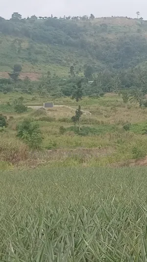 Alpha Properties Estate Land for Sale at Amasaman ASHIFLA