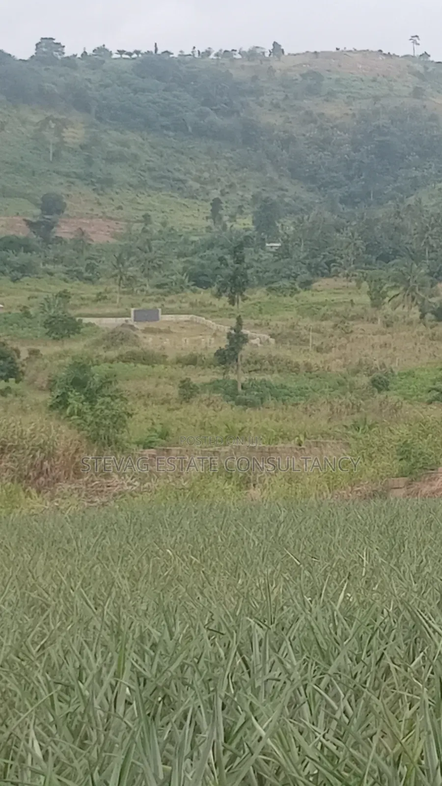 Alpha Properties Estate Land for Sale at Amasaman ASHIFLA