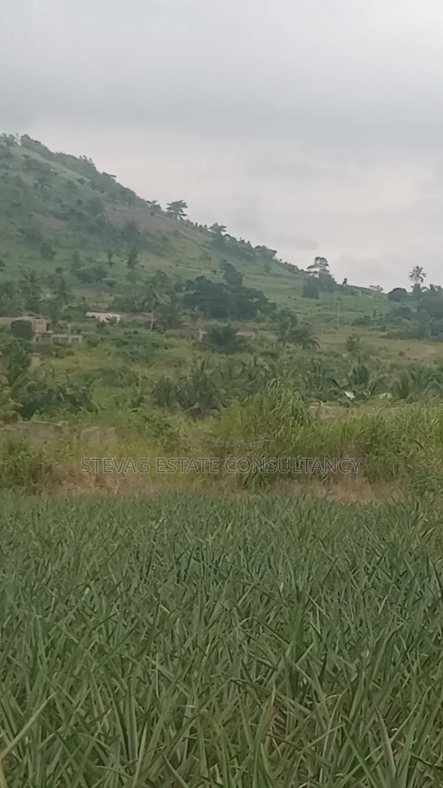 Alpha Properties Estate Land for Sale at Amasaman ASHIFLA